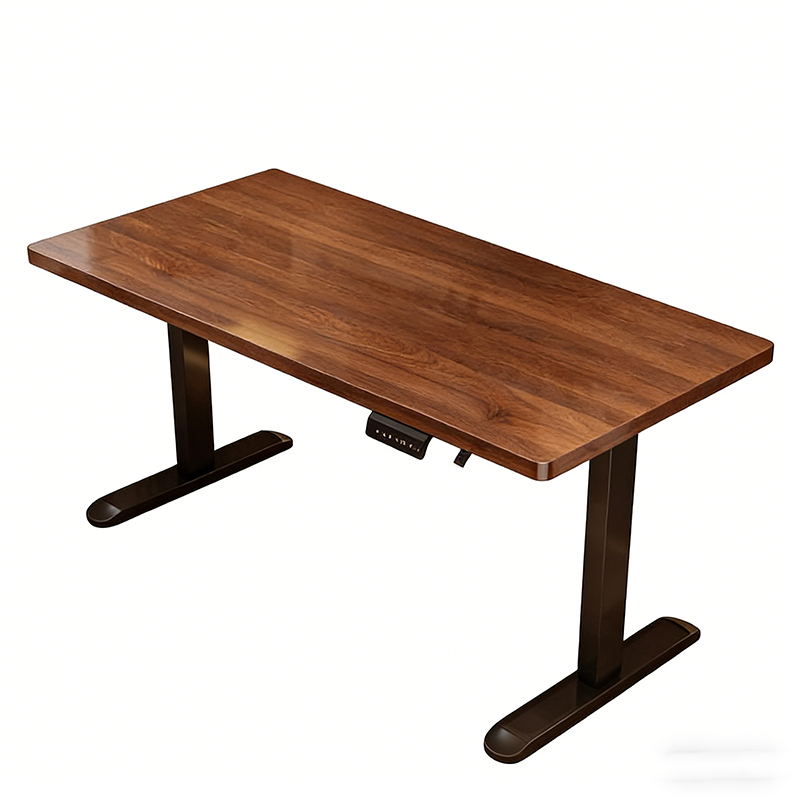 Modern Iron Dual Motor Electri - Desk Setup In Office recension och pris