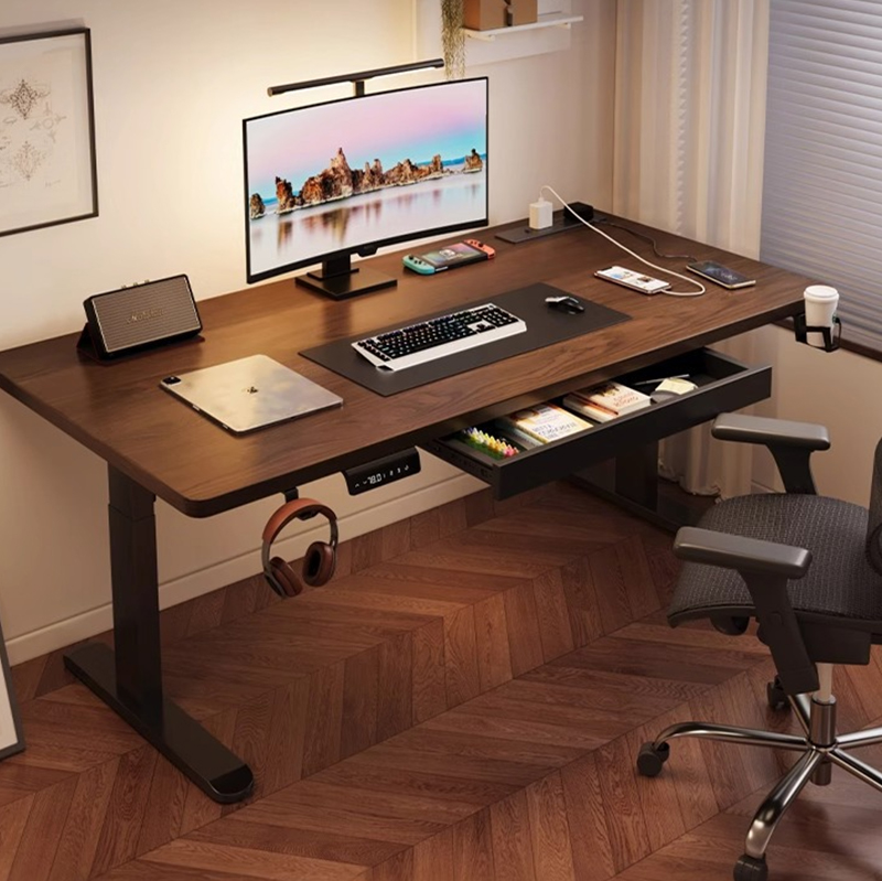 Modern Iron Dual Motor Electri - Desk Setup In Office recension och pris